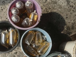 Jual Minyak Goreng Murah Rp 14.000, Pedagang Ngeluh: Ribet!