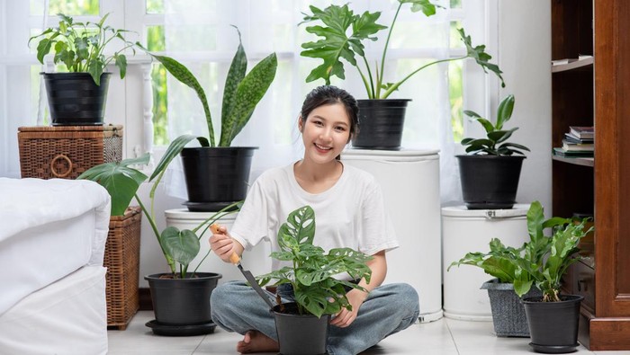 Tak Sekadar Mengisi Waktu Luang, Ini 4 Manfaat Berkebun untuk Kesehatan Mental