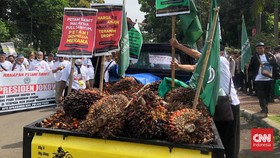 Teriak Petani Sawit Tertekan Kebijakan Jokowi Larang Ekspor CPO