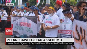VIDEO: Petani Sawit Gelar Aksi Demo