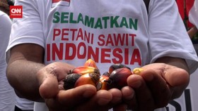 VIDEO: Petani Sawit Demo Gara-Gara Pabrik Stop Beli TBS