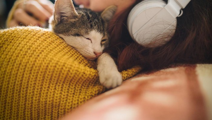 Biar Nggak Mati, Ini 5 Perawatan Penting yang Bisa Kamu Lakukan Pada Kucing Yatim Piatu