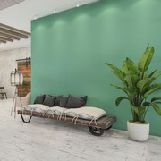Agar Tak Seperti Green Screen, Ini 5 Kiat Pakai Warna Hijau untuk Dinding Rumah Menurut Fengshui!