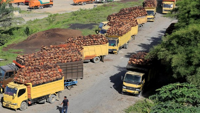 Dewan Minyak Sawit Indonesia (DMSI) mendorong agar Kementerian Keuangan menghapus bea keluar atas ekspor sawit menjelang Lebaran Idulfitri 2023.