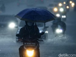 Apa Itu Daur Biogeokimia? Berikut Jenis dan Fungsinya