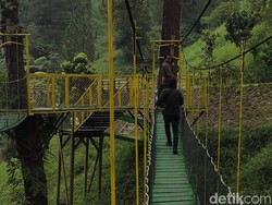 Jadi Lokasi Syuting KKN di Desa Penari, Jembatan Plunyon Ramai Wisatawan