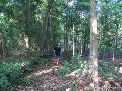 Snapshots: Di Pelosok Playen, Ini Lokasi Syuting Film KKN di Desa Penari