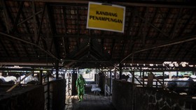 Pemprov Jabar: Ada 4 Persen Desa/Kelurahan Konfirmasi Kasus PMK