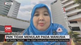 VIDEO: PMK Tidak Menular Pada Manusia