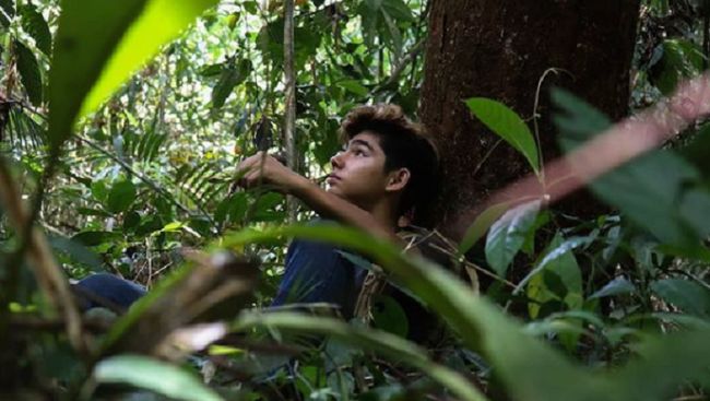 So Tarzan, a French-Kalimantan teenager lives 24 hours in the forest