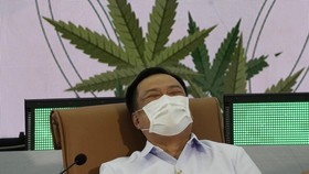 Alasan Thailand Mau Bagi-bagi 1 Juta Pohon Ganja ke Rumah-rumah