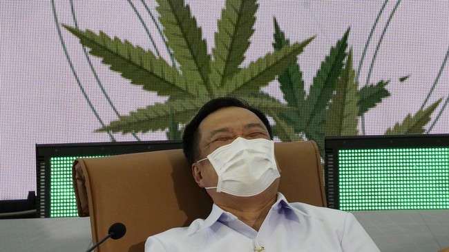 Pemerintah Thailand punya tujuan khusus atas rencana membagi-bagikan satu juta pohon ganja ke rumah-rumah.