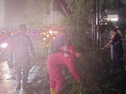 2 Pemotor Tertimpa Pohon Tumbang di Tangerang Saat Hujan Angin