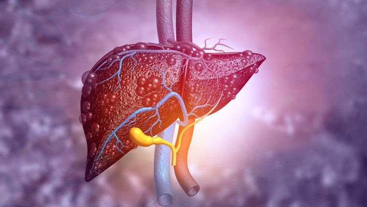 Makanan untuk Hepatitis Makanan untuk Hepatitis