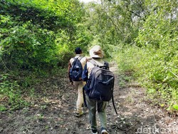 Menjelajah Hutan di Bali Barat, Menyelami Makna Kehidupan