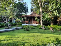 Bangga! Hotel di Bali Sabet Jawara ASEAN Green Hotel 2024