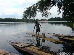 Heboh Penunggu Danau di Lumajang Ternyata Gerombolan Ikan