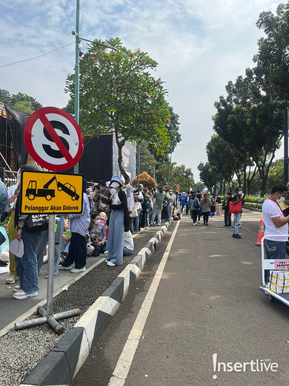 Suasana Allo Bank Festival dan Antusiasme NCTzen
