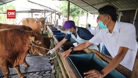 VIDEO: Wabah PMK, Pedagang Daging di Surabaya Sulit Dapat Pasokan