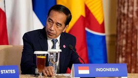 Jokowi Belum Terkonfirmasi Hadir di Formula E Jakarta