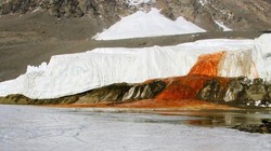 Aliran Air Warna Merah Darah di Antartika