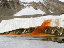 Aliran Air Warna Merah Darah di Antartika