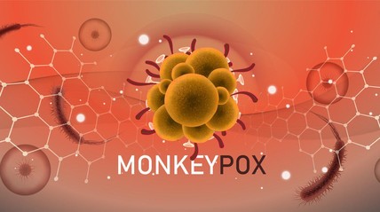 Detik Network