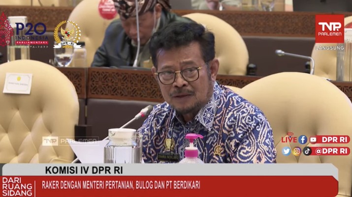 Rapat Kerja Komisi IV DPR dengan Menteri Pertanian, Syahrul Yasin Limpo (Tangkapan Layar Youtube DPR RI)