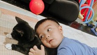 <p>Walaupun akan memiliki seorang adik, Baby Air masih tampil menggemaskan dari setiap potret yang diabadikan oleh Bundanya, lho. Seperti potret yang satu ini saat ia tiduran di atas kucing kesayangannya yang bernama, Pablo. (Foto: Instagram @_irishbella_)</p>