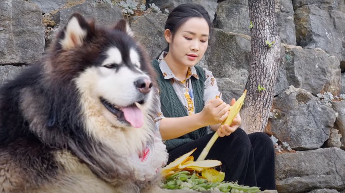 Rindu Konten Li Ziqi? Ini Referensi 5 Channel YouTube Konten Pedesaan asal Tiongkok Lainnya, Bantu Healing!