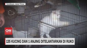 VIDEO: 135 Kucing Dan 1 Anjing Ditelantarkan Di Ruko