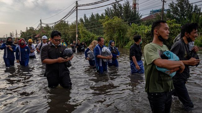 Walhi menilai banjir rob yang terjadi di Semarang dan sejumlah wilayah di pesisir utara Jawa Tengah adalah bencana yang disengaja.