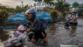 Banjir Rob Tanjung Emas, Aktivitas Warga hingga Peti Kemas Terganggu