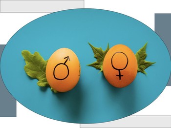 Busting Myths: Stereotip Gender