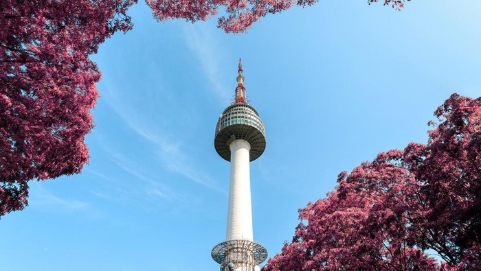 Siap Bertemu Oppa? Per 1 Juni 2022, Korea Selatan Sudah Kembali Terbitkan Visa Turis, lho Siap Bertemu Oppa? Per 1 Juni 2022, Korea Selatan Sudah Kembali Terbitkan Visa Turis, lho