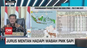 VIDEO: Jurus Mentan Hadapi Wabah PMK Sapi