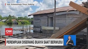 VIDEO: Perempuan Diserang Buaya Saat Berwudu