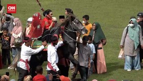 VIDEO: Melihat Serunya Festival Kuda Berjingkrak di Polewali Mandar