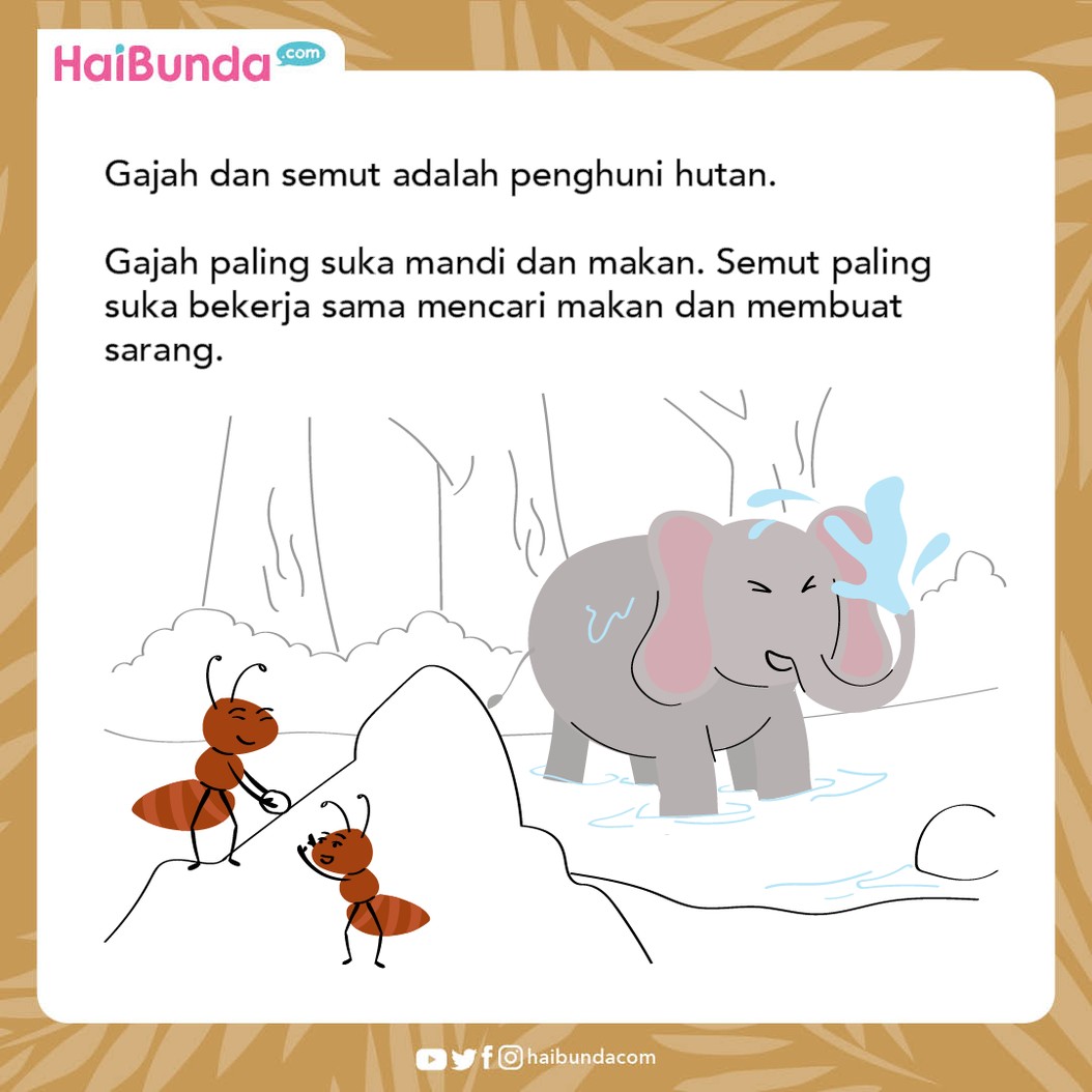 Cerita Nusantara Semut Cerdas & Gajah yang Sombong