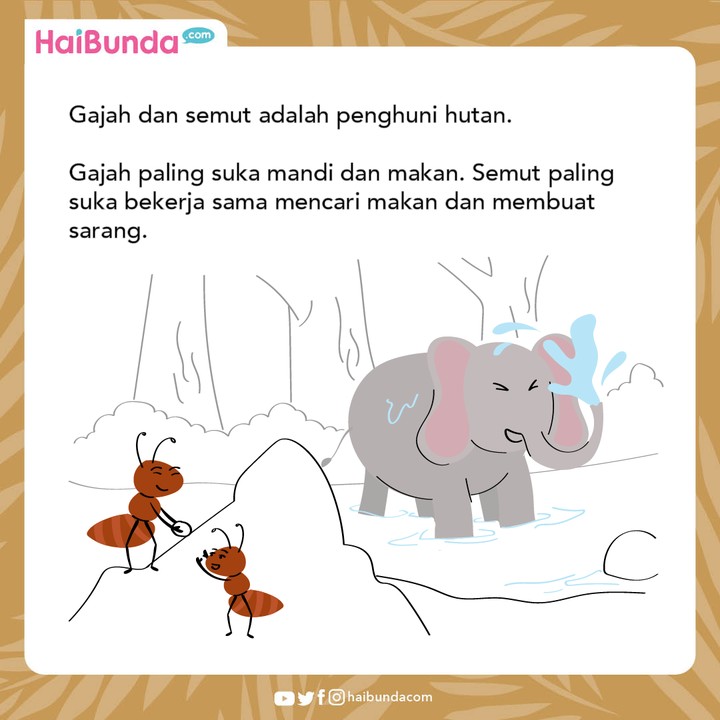 Cerita Nusantara Semut Cerdas & Gajah yang Sombong