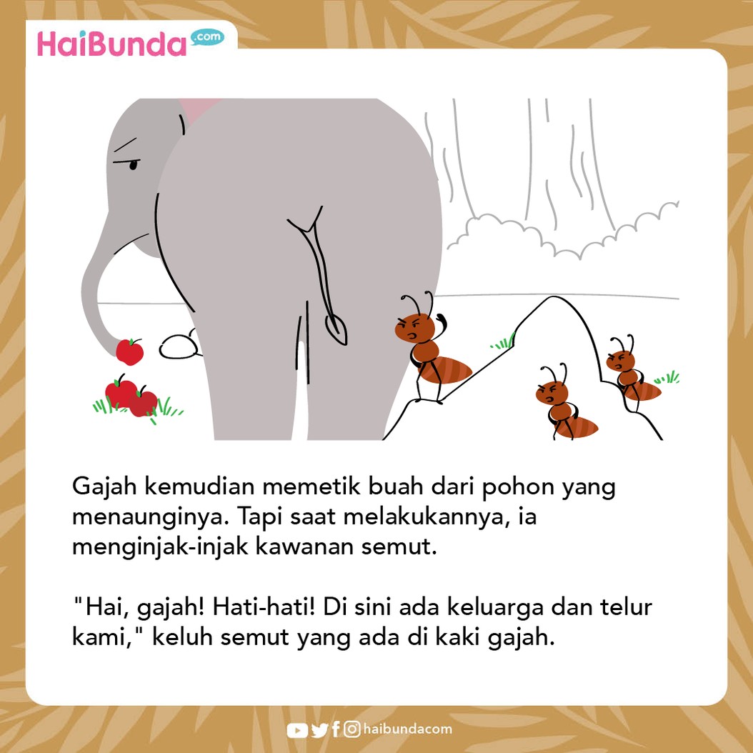 Cerita Nusantara Semut Cerdas & Gajah yang Sombong