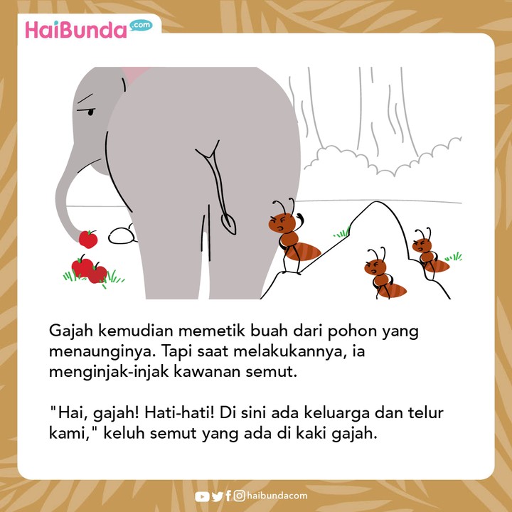 Cerita Nusantara Semut Cerdas & Gajah yang Sombong
