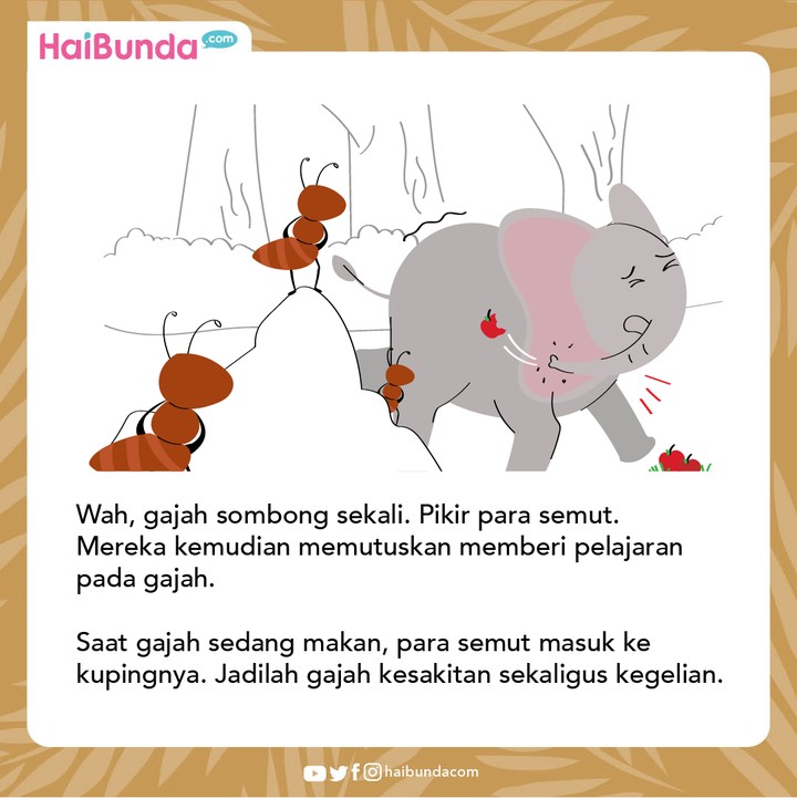 Cerita Nusantara Semut Cerdas & Gajah yang Sombong