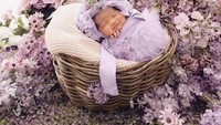 <p>Ditemani bunga-bunga ungu, Kamya tampak tertidur pulas sambil tersenyum di atas keranjang. (Foto: Instagram @kamya_aisahanara)</p>