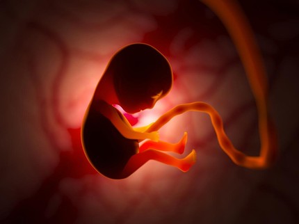 Penyebab dan Tanda Bayi Terlilit Tali Pusar, Bunda Perlu Tahu
