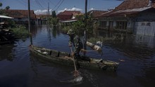 Banjir Rob Terjang Aceh Barat, Puluhan Warga dari Dua Desa Mengungsi