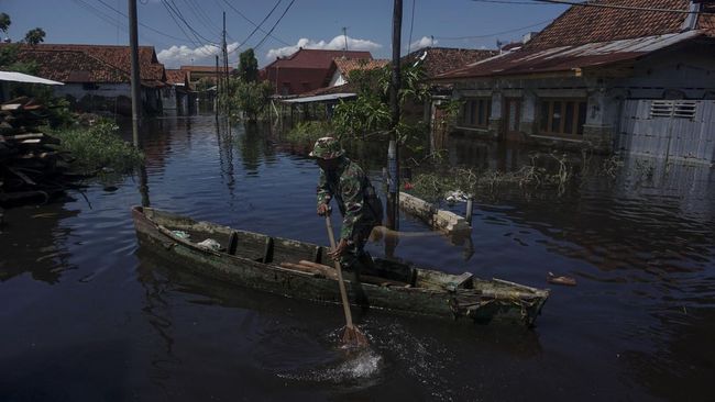 Puluhan warga di dua desa dalam Kecamatan Johan Pahlawan, Aceh Barat, terpaksa mengungsi akibat permukiman mereka diterjang banjir rob.