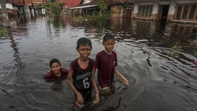 FOTO: Banjir Rob Merendam Pemukiman Warga di Pekalongan