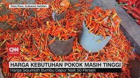 VIDEO: Harga Kebutuhan Pokok Masih Tinggi