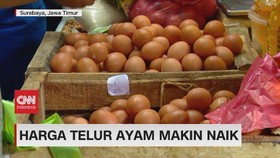 VIDEO: Harga Telur Ayam Makin Naik